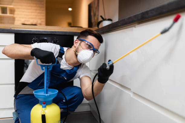Best Local Pest Control Services  in Rogersville, TN