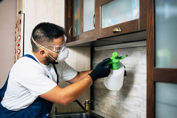 Best Wildlife Control Services  in Rogersville, TN