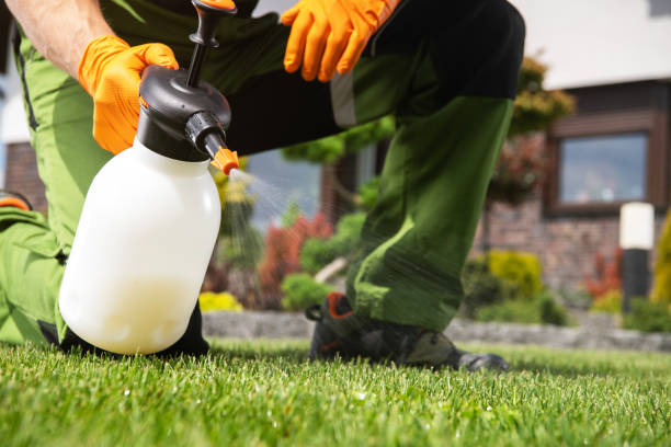 Best Rat Extermination Near Me  in Rogersville, TN
