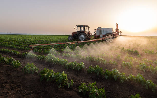 Best Commercial Pest Control Services  in Rogersville, TN