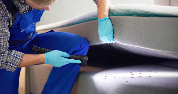 Best Pest Control for Restaurants  in Rogersville, TN