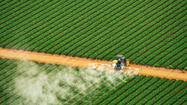 Best Ant Control Services  in Rogersville, TN