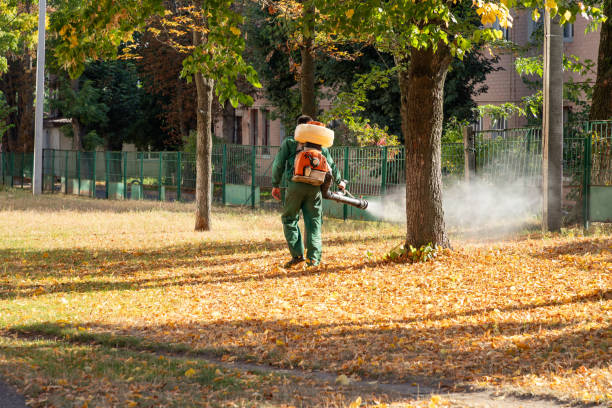 Reliable Rogersville, TN Pest Control Solutions