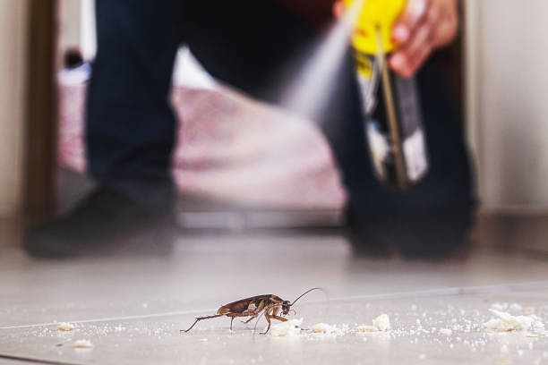 Pest Control Cost in Rogersville, TN